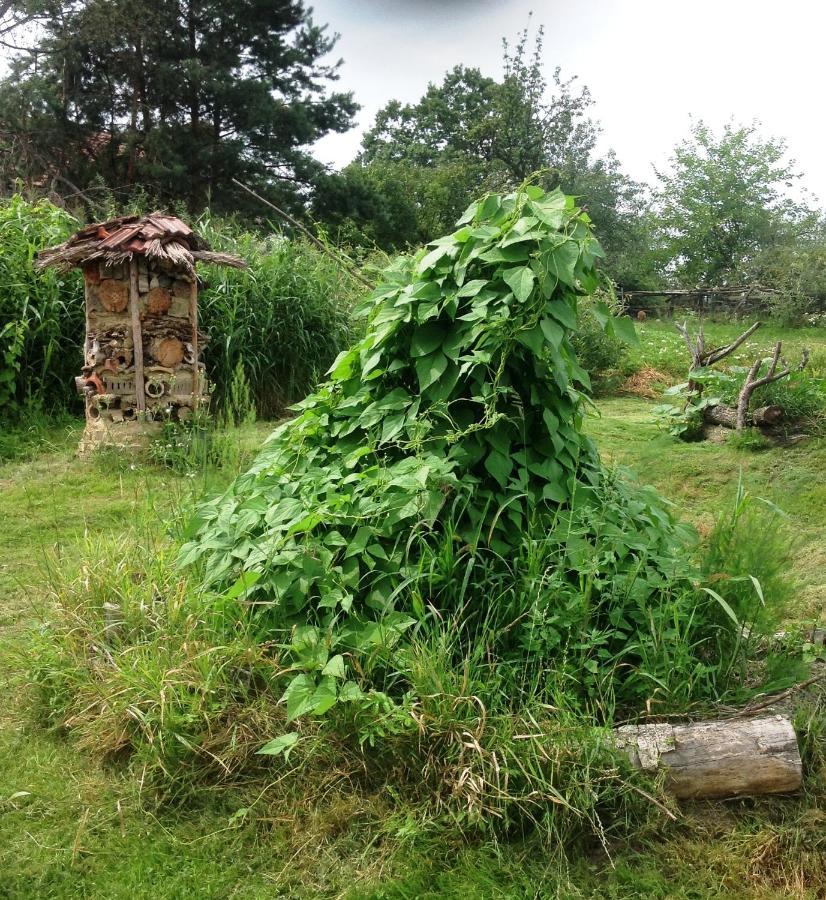 Biohof Am Turawa-See Szczedrzyk Kültér fotó