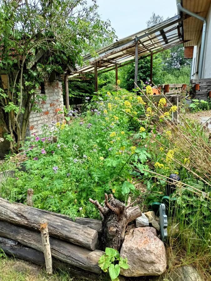 Biohof Am Turawa-See Szczedrzyk Kültér fotó