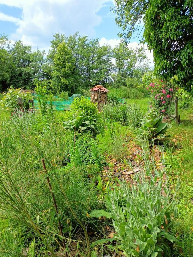 Biohof Am Turawa-See Szczedrzyk Kültér fotó