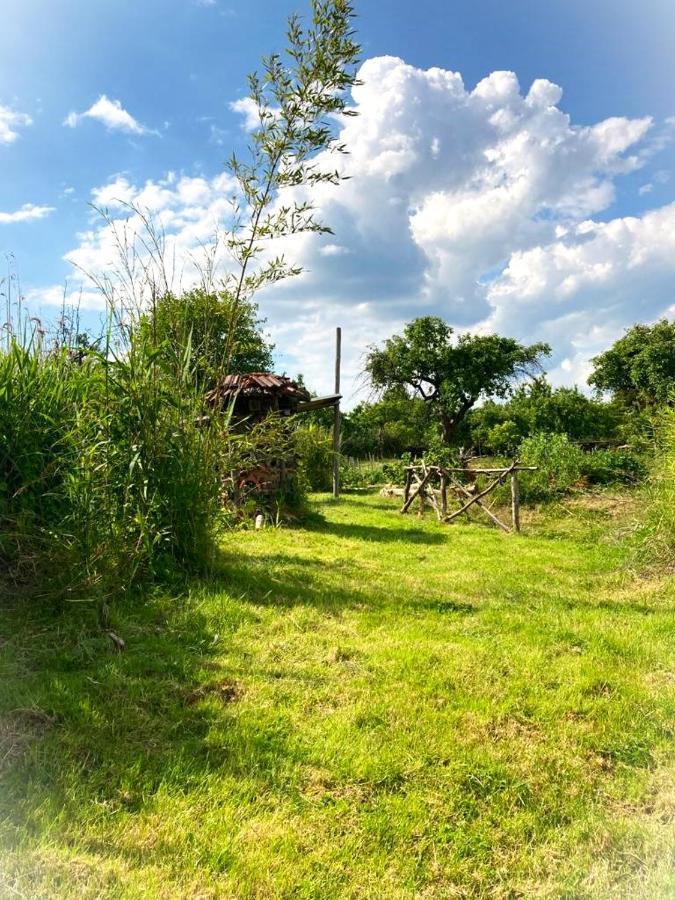 Biohof Am Turawa-See Szczedrzyk Kültér fotó