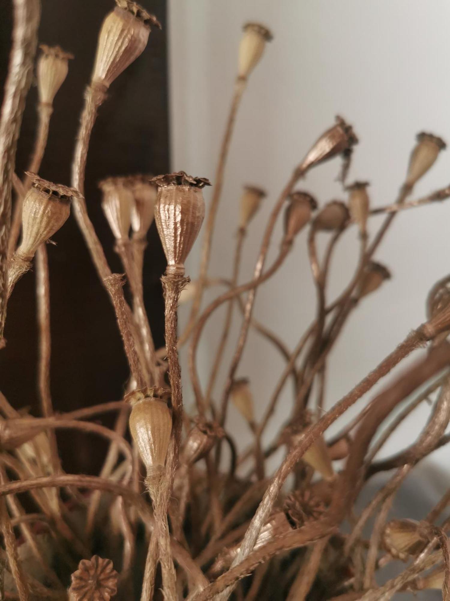 Biohof Am Turawa-See Szczedrzyk Kültér fotó